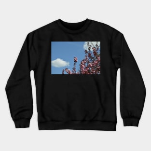 Standout Crewneck Sweatshirt